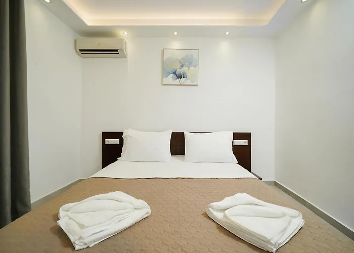 The Brothers House * 파나이아